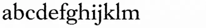 Caslon Rough H EF Regular