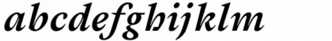 Cassius Black Italic