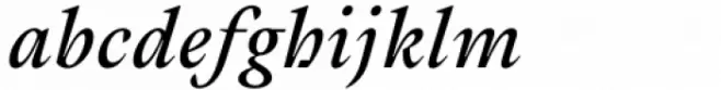 Cassius Bold Italic