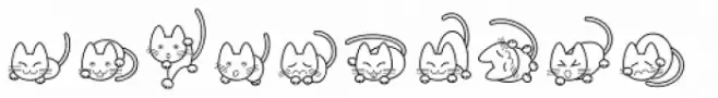 Cat Cat Cat D