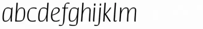 Catalyst Thin Italic