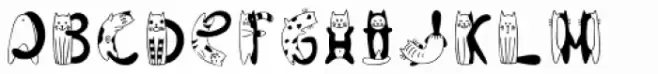 Catsme  Black