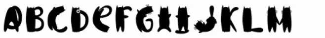 Catsme  Regular