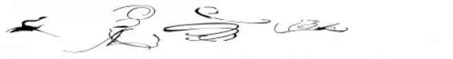 Cazon Dingbats B