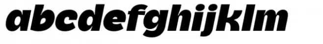 Cendra Black Italic