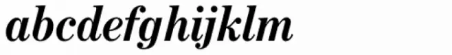 Century No 1 SB Bold Italic