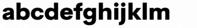 Cerebri Sans Heavy