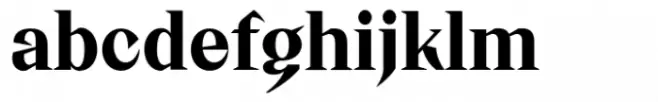 Cervina Bold
