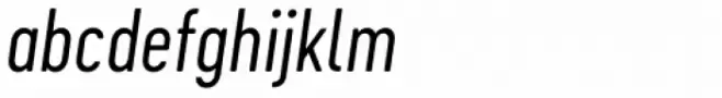 Cervo Neue Light Italic
