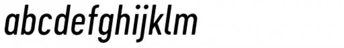 Cervo Neue Regular Italic