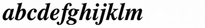 CG Times Bold Italic