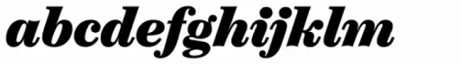 ChamberÃ­ Text Black Italic