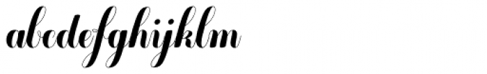 Chameleon Basic