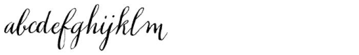 Chameleon Pen Italic