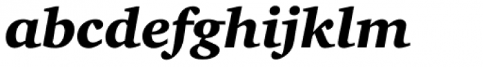 Charter Std Black Italic
