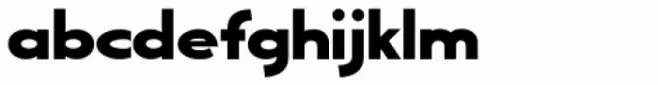 Chive Turkey JNL