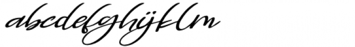Chorasign Regular