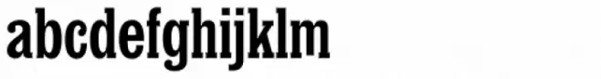 Churchward Conserif