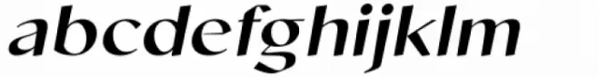 Cicada Medium Italic