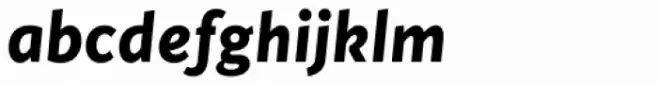 Cinta Bold Italic