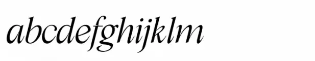 Cita Pro Extra Light Italic