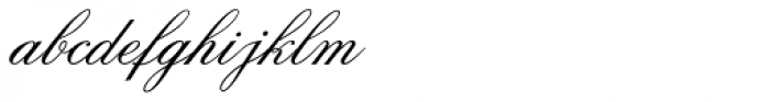 Citadel Script Pro
