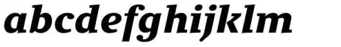 Clara Serif Black Italic