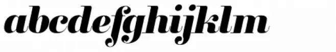 Clarize Black Italic