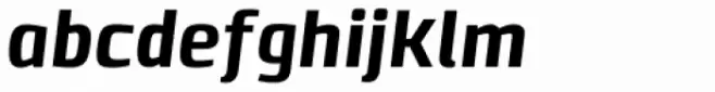 Clio Heavy Italic