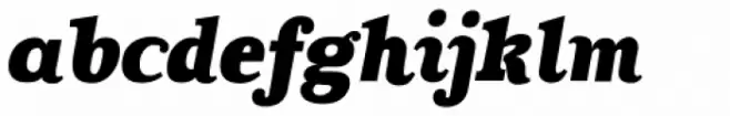 Coats Black Italic