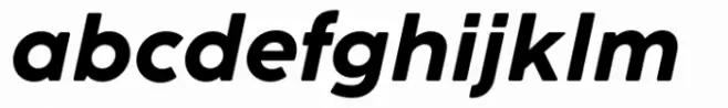 Cocogoose Pro Text Bold Italic