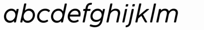 Cocogoose Pro Text Italic
