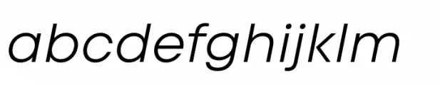 Code Next Book Italic