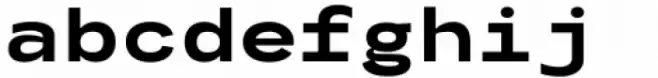 Codo Mono Bold