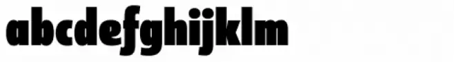 Coegit Black Italic