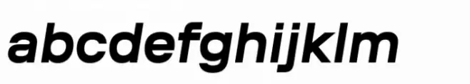 Coil Bold Italic