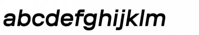 Coil Medium Italic