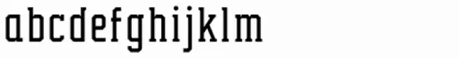 Collegium Condensed Thin