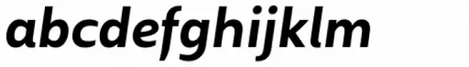 Concasse Bold Italic