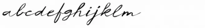 Concertina Italic