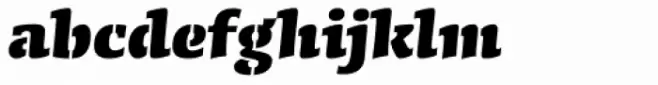 Conga Brava Stencil Std Black