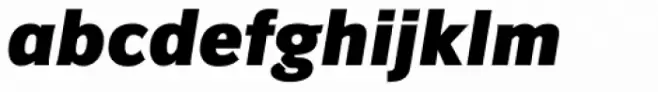 Congress Sans Std Black Italic