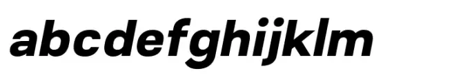 Conigen Black Italic