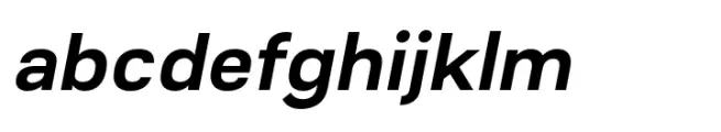 Conigen Bold Italic