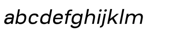 Conigen Regular Italic