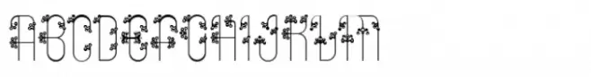 Conium