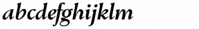 Conqueror Medium Italic