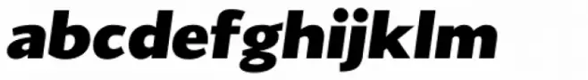Conqueror Sans Black Italic