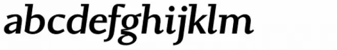 Conqueror Slab Medium Italic