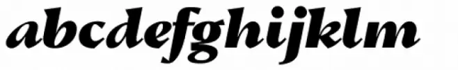 Conqueror Text Black Italic